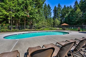 Sparkling Pool at Apartments in Port Orchard
